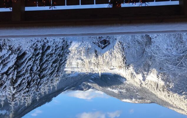 Chalet Venus - Photo 34