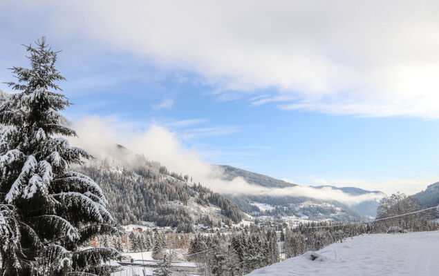 Chalet Venus - Photo 35