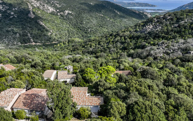 Pietralunga - Photo 22