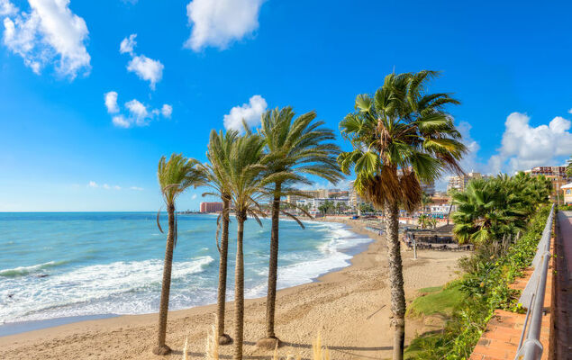 Lola Playa - Photo 59