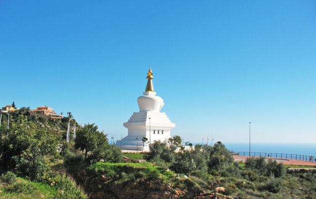 Lola Playa - Photo 61