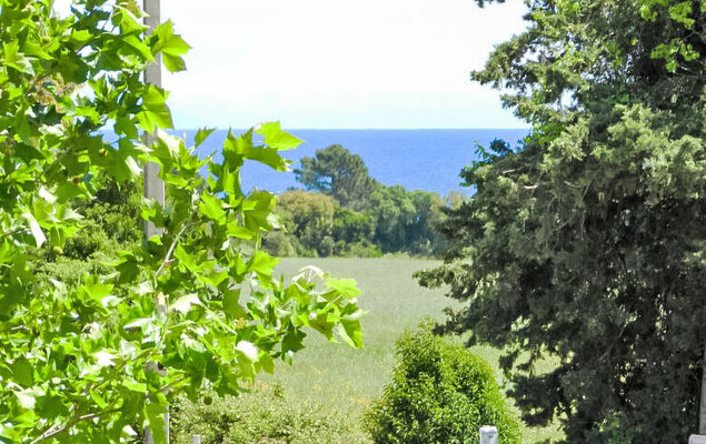 Lup - Les terrasses d'Alistro - Photo 17