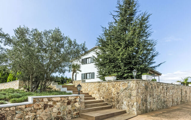 Torre de Ven - Photo 27